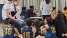 Bona arrencada en la fase final del Sènior del Club Natació Tàrrega