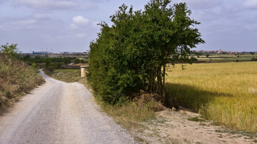 Camí de Vilagrassa