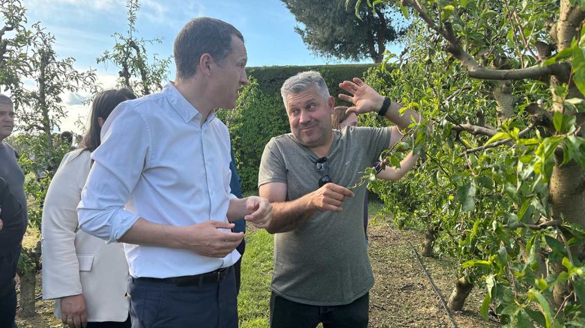 Visita d'Ordeig en una finca afectada per la pedregada a Alcarràs