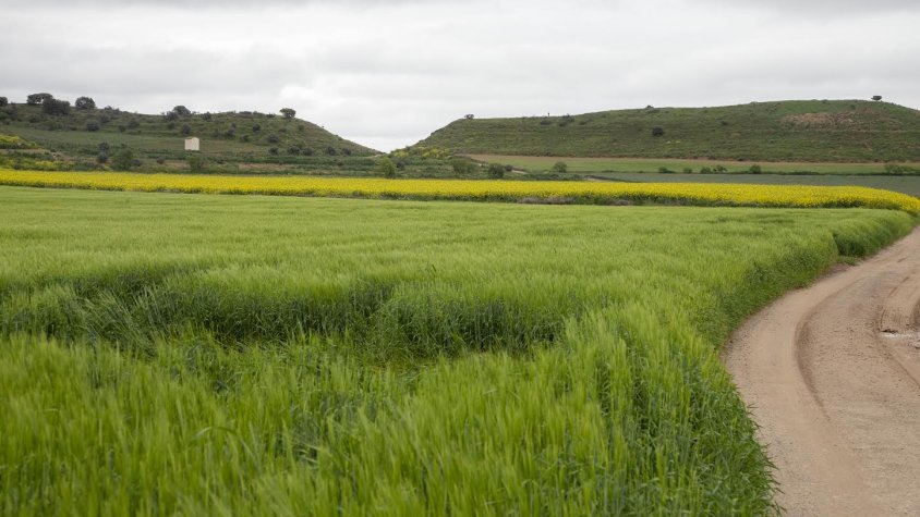 Una de les finques incloses en el reg històric del Canalet al terme municipal de Vilagrassa
