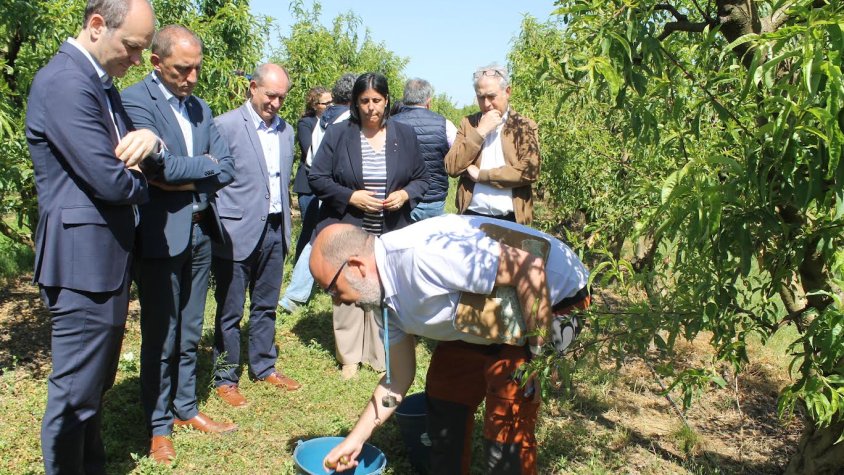 Visita en una finca de Soses afectada per la pedregada