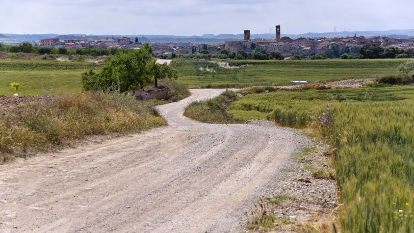 Panoràmica del camí Vell de Tàrrega a Verdú