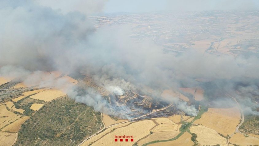 Imatge aèria de l'incendi de Granyena de Segarra
