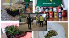 Posen 28 denúncies a locals de venda de productes per al cultiu de cànnabis de la demarcació de Lleida