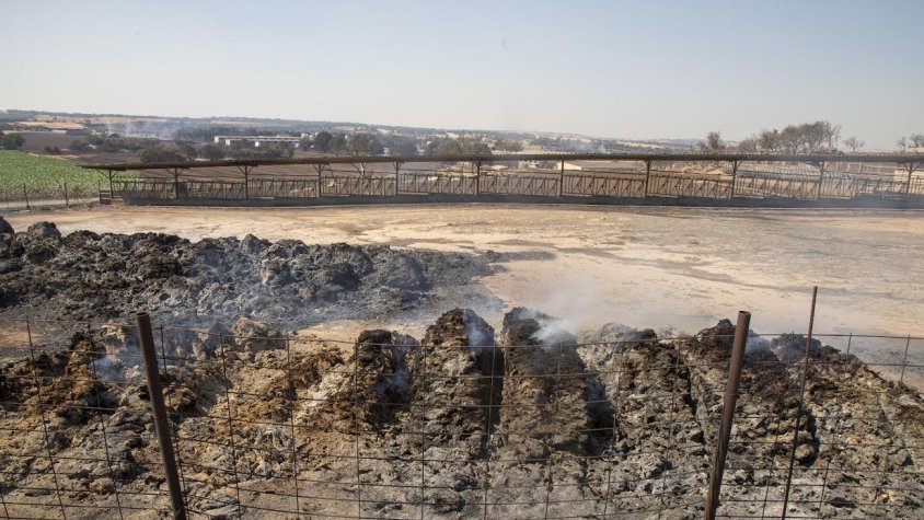El foc va passar per damunt d'aquesta granja