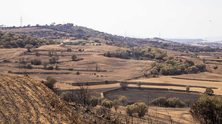 Vista del paisatge cremat a Vilanova de l'Aguda