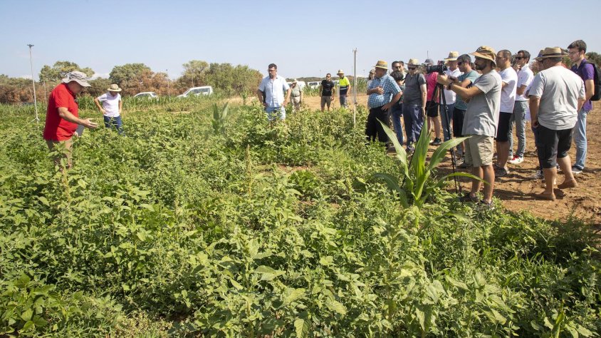 Visita ahir a la finca experimental a Agramunt
