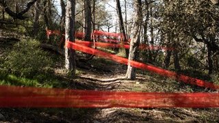 El cartell de FiraTàrrega 2025