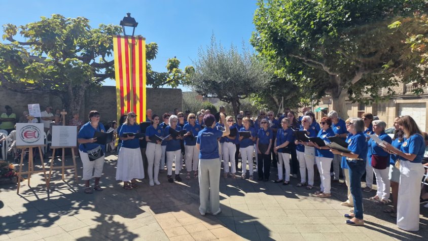 Un moment del concert de l’11 de setembre passat en el marc dels actes de la Diada