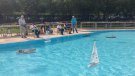 Tàrrega celebra la 20a Trobada de Modelisme Naval