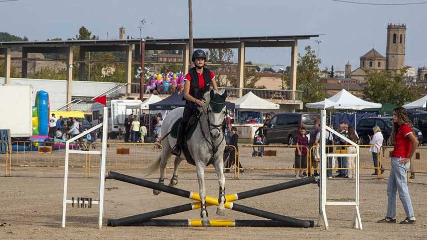Exhibició de cavalls