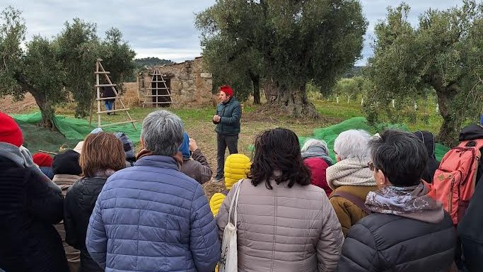 Un moment de l'activitat