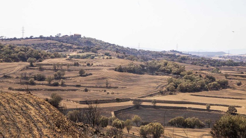 Vista de terrenys calcinats a Guardiola