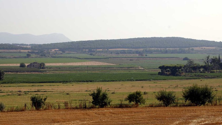 Els terrenys on es vol ubicar la planta de biogàs