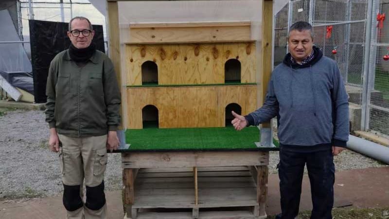 La nova caseta de fusta per als gats construïda per Va!deFusta