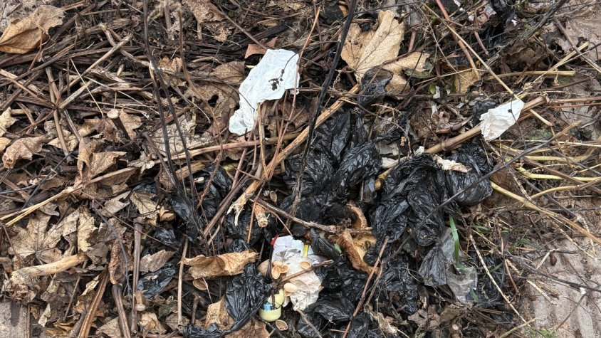Un racó de Tàrrega amb petites bosses plenes d'excrements de gossos