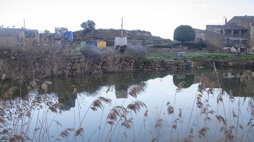 Vista de la bassa i el mur de pedra en el qual està previst intervenir per millorar la seguretat