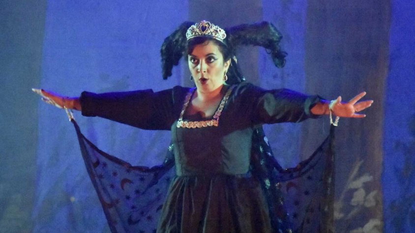 Camerata Lírica portarà 'La Flauta Màgica' al Teatre Ateneu