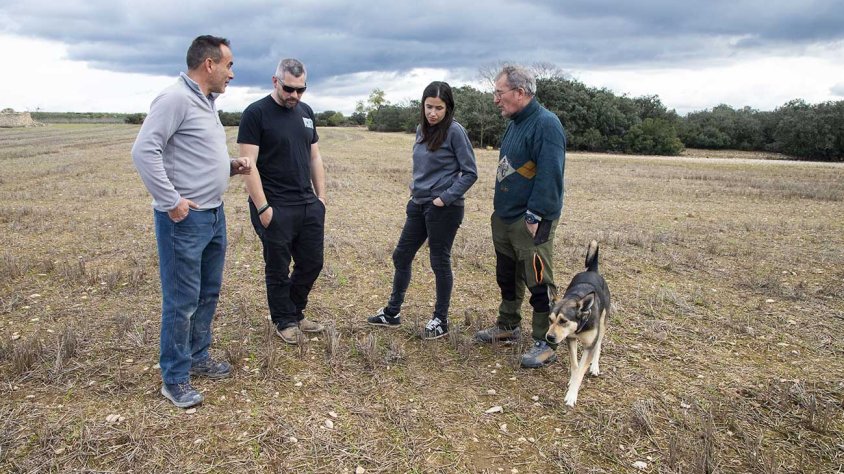 Agricultors de Preixana, Verdú i Ciutadilla, en un camp de cereal arrasat pels conills