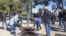 Planten una alzina de gratitud al parc de Sant Eloi de Tàrrega