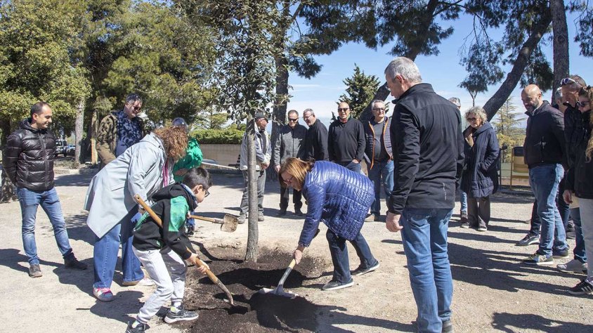 Autoritats i veïns van participar en la plantada d’una alzina