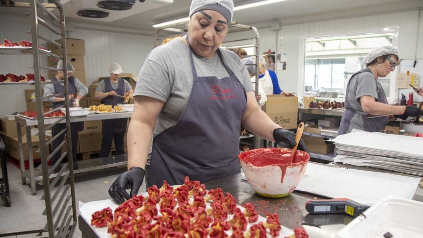 El Rosal es troba en plena producció per a la campanya de Sant Jordi