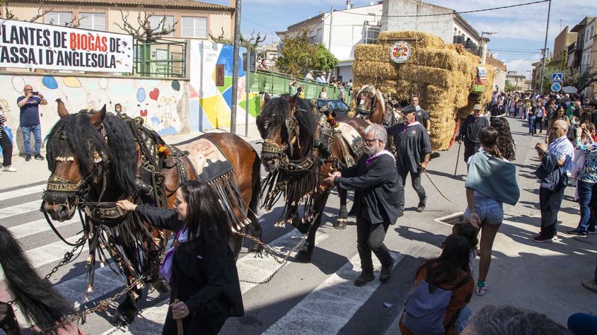 El carro garber d'Anglesola, considerat el més gran de Catalunya