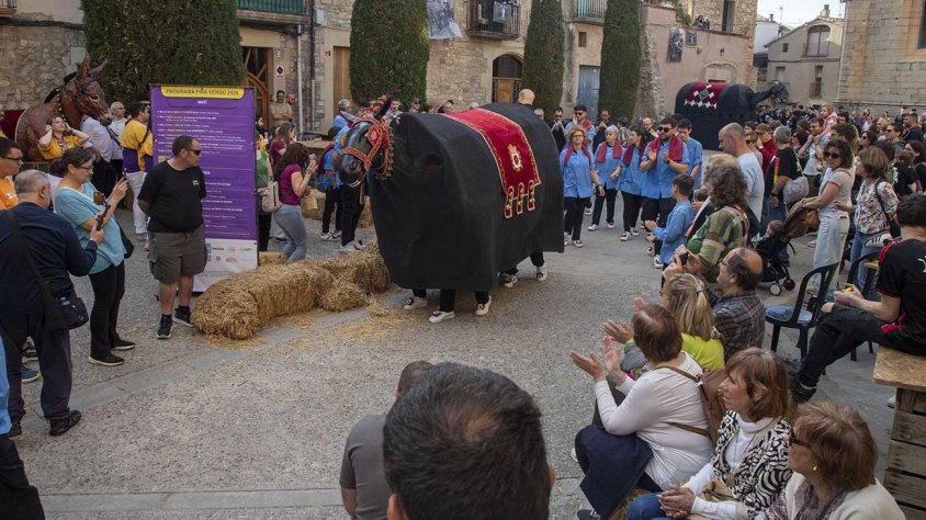 Un moment de la cercavila