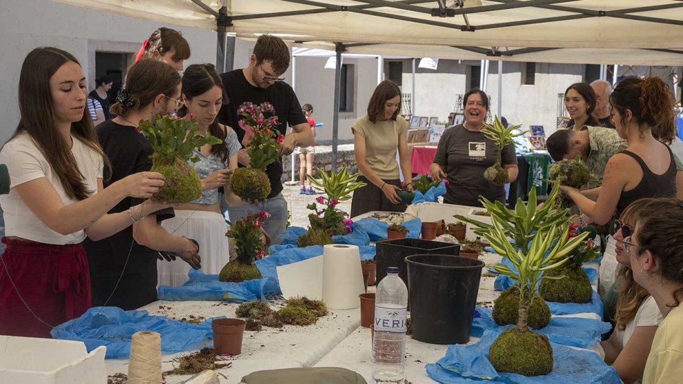 Connexió amb la biodiversitat a Vallbona