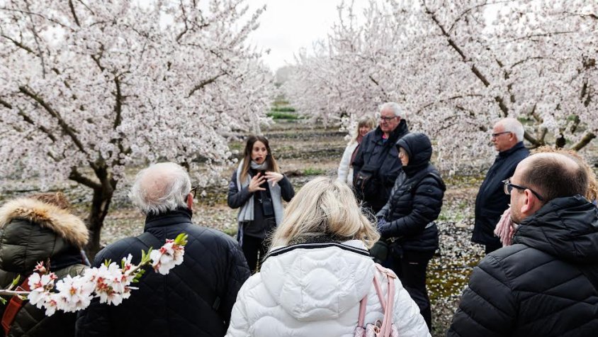 Les activitats vinculades a la floració van atreure gairebé 3.000 persones