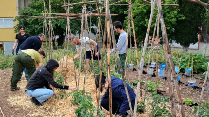 Alumnat a l'hort