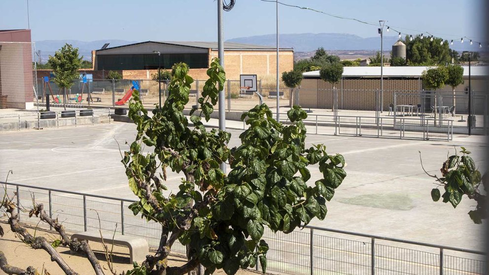 Pista de pàdel i pump truck a Vilagrassa