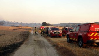 Un incendi crema 60 hectàrees a Talavera i força el confinament de 4 nuclis