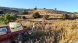 Eixarcolant impulsa la biodiversitat i la diversificació de cultius de secà a la serra de Bellmunt-Almenara