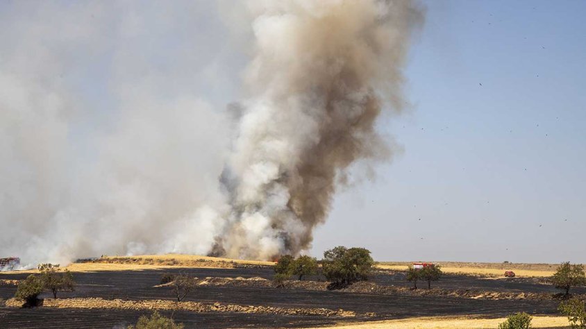 L'incendi s'ha declarat a mig matí d'aquest divendres