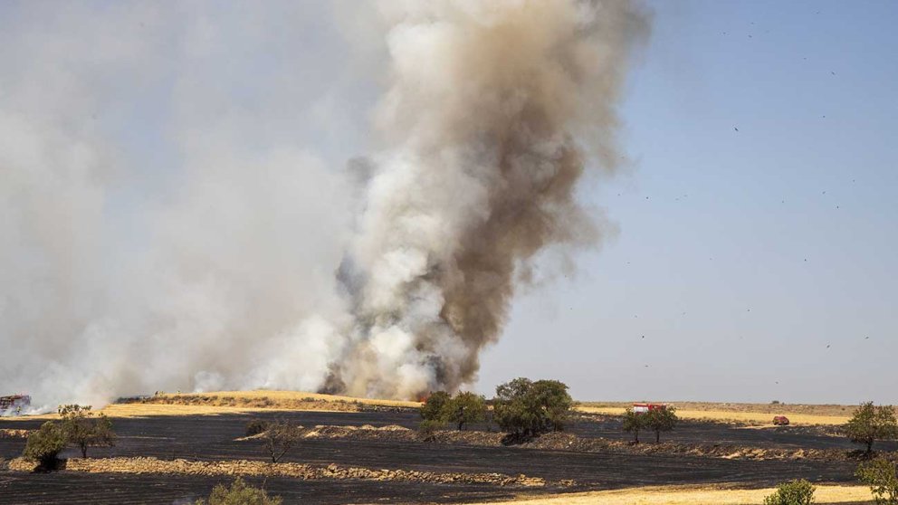Incendi agrícola entre Claravalls i Santa Maria de Montmagastrell  