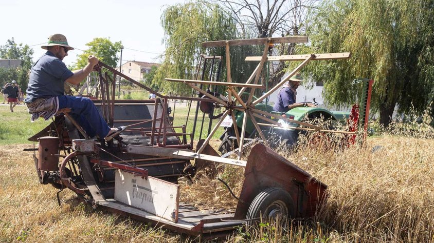 Imatge d'arxiu de la passada edició de les festes just fa un any
