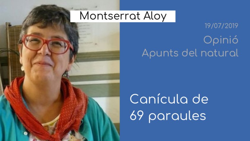 Montse Aloy i Jaume Ponsarnau, demà a 'Opinió'
